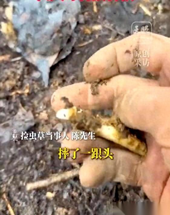 真不是开玩笑，贵州有个哥们儿，在山上摔了一跤，直接摔出了一套房子的首付。就那么