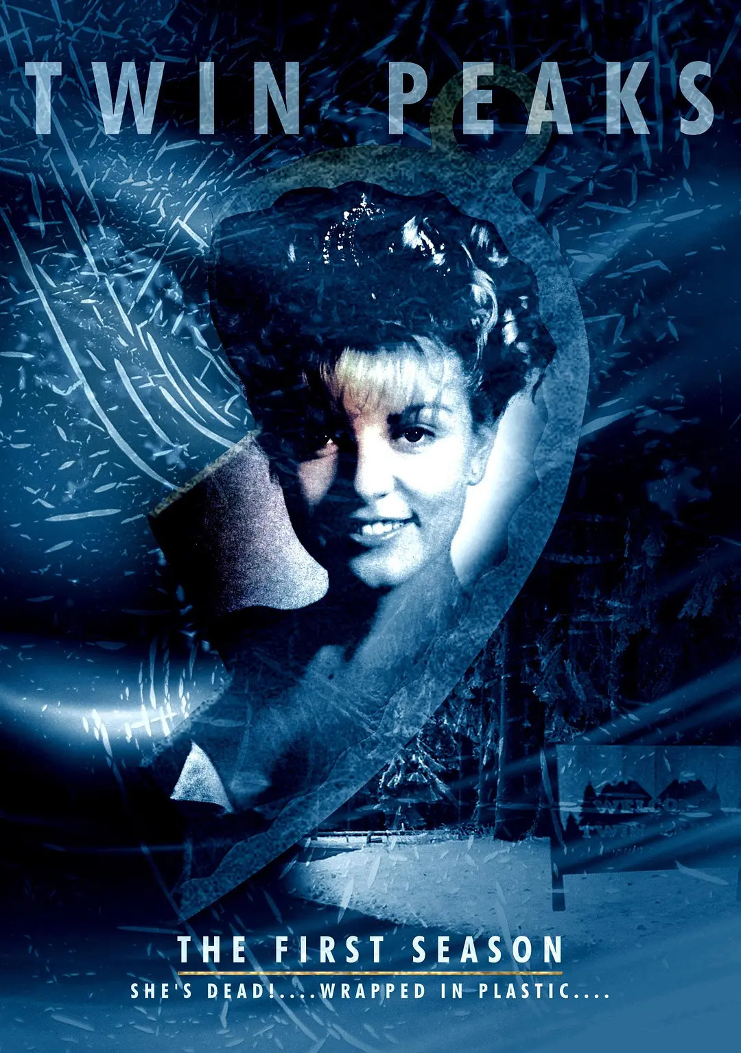 1990年的今天，神剧《双峰》首播。