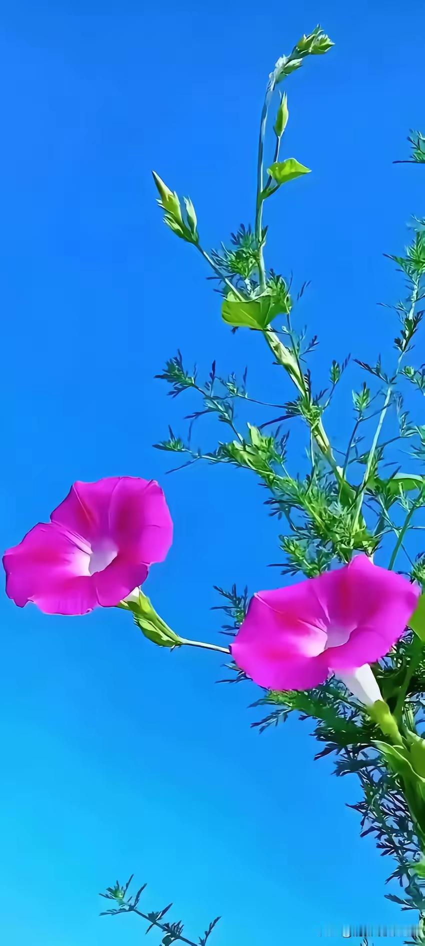学校里效果最好的几种奖励办法​​​1.超工作量奖（引导老师抢事做）​​​​​