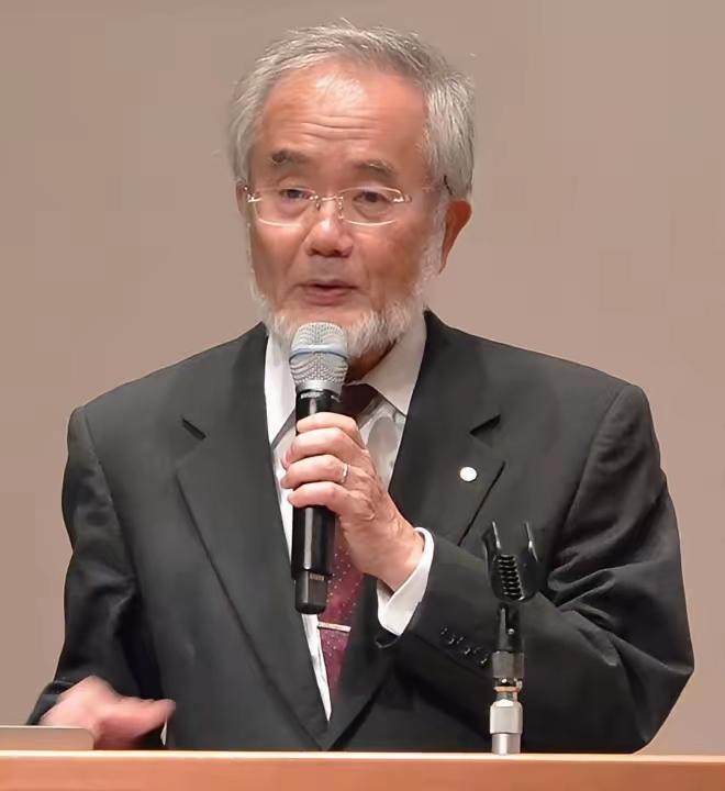 日本生物学家大隅良典因为发现了饿肚子时身体靠“吃掉”受损细胞来自我清理的机制拿了