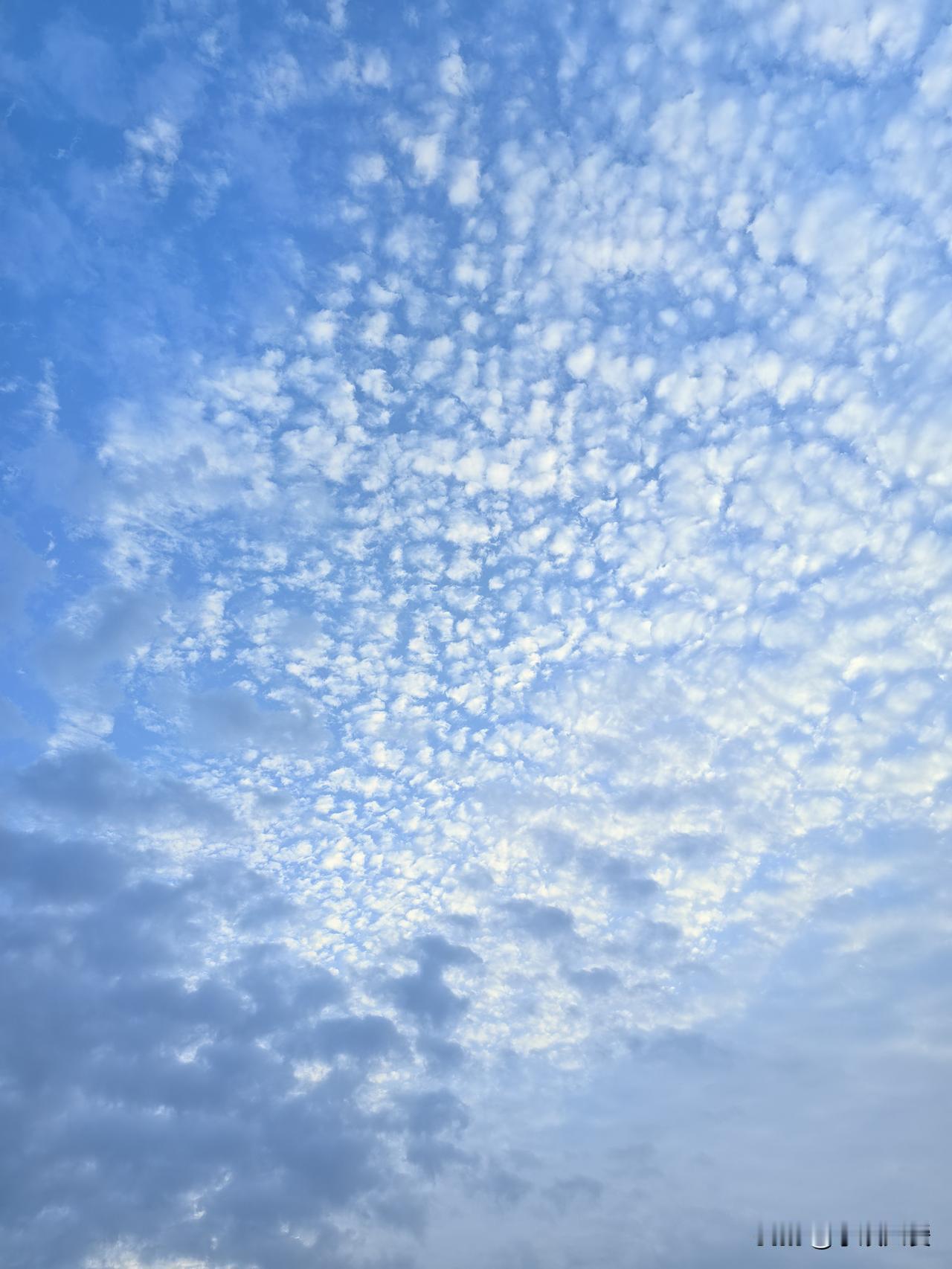 新年已至，恰是开启爱好打卡的绝佳时机。我打算在新年开启摄影爱好打卡之旅。每日用相