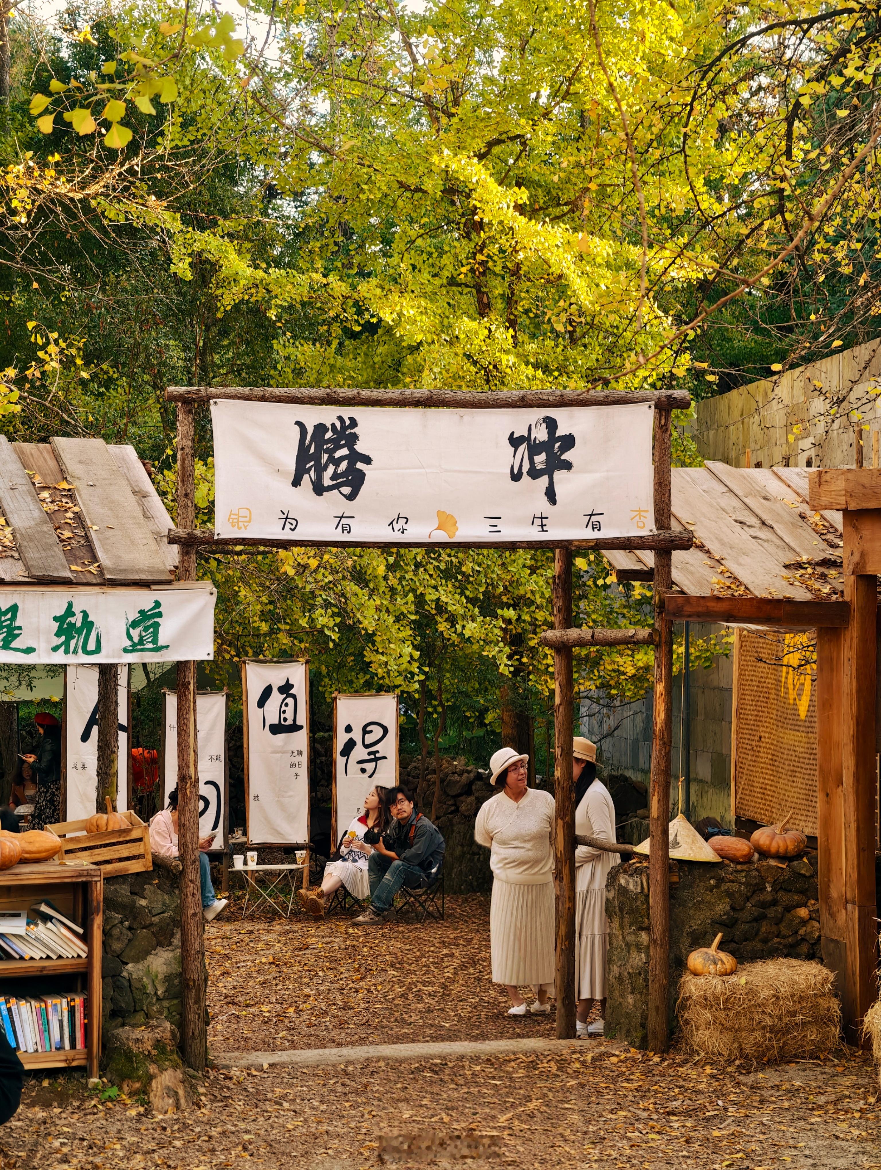 今天去了大名鼎鼎的‬银杏村大片的银杏树虽然很美，但村里茂密的树下已被商贩们占满