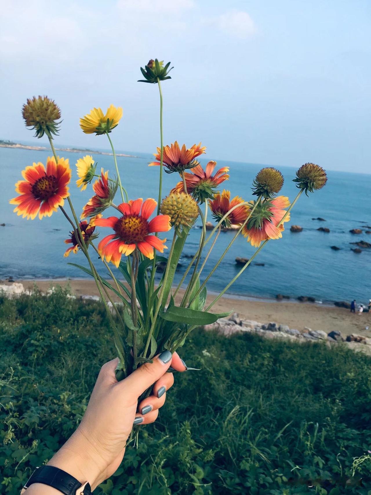 早上跟一位比我大八岁牡丹江的姐姐聊天，聊养老的地方。她也想找个风景秀丽，空气质