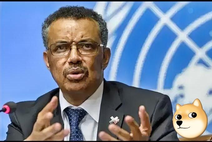 联合国对中国的态度，真的让人看不懂！一边拿着中国缴的会费维持运转，一边对日本的挑