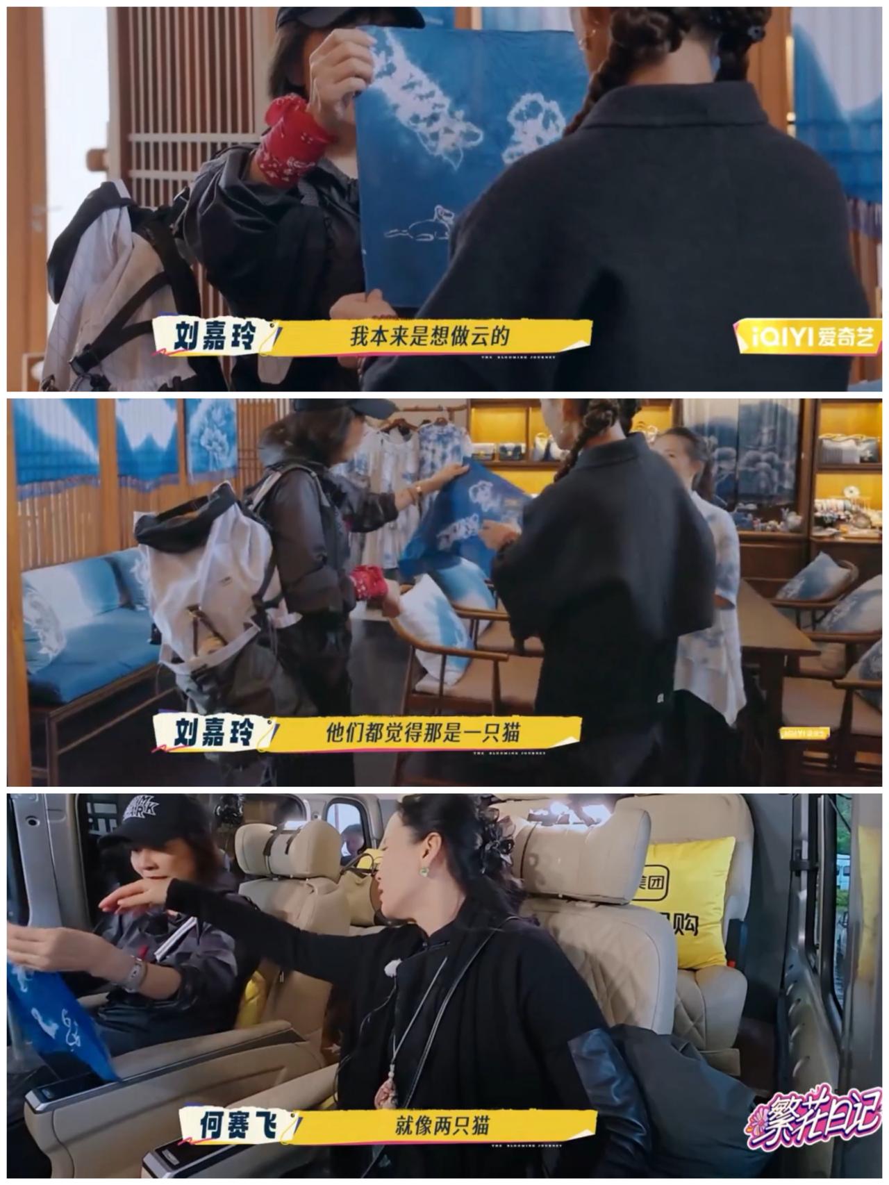 何赛飞这样说，刘嘉玲明显不高兴了，看来何赛飞下次不敢那么敷衍。刘嘉玲做