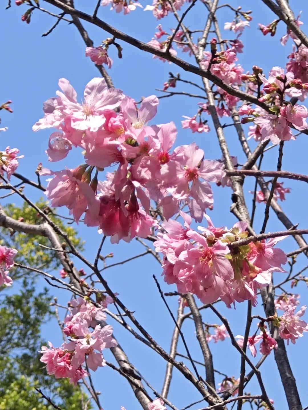 倦鸟归林、鱼翔浅底、落叶归根，这都是对家的渴望，也是生命在追寻着一种归宿。我
