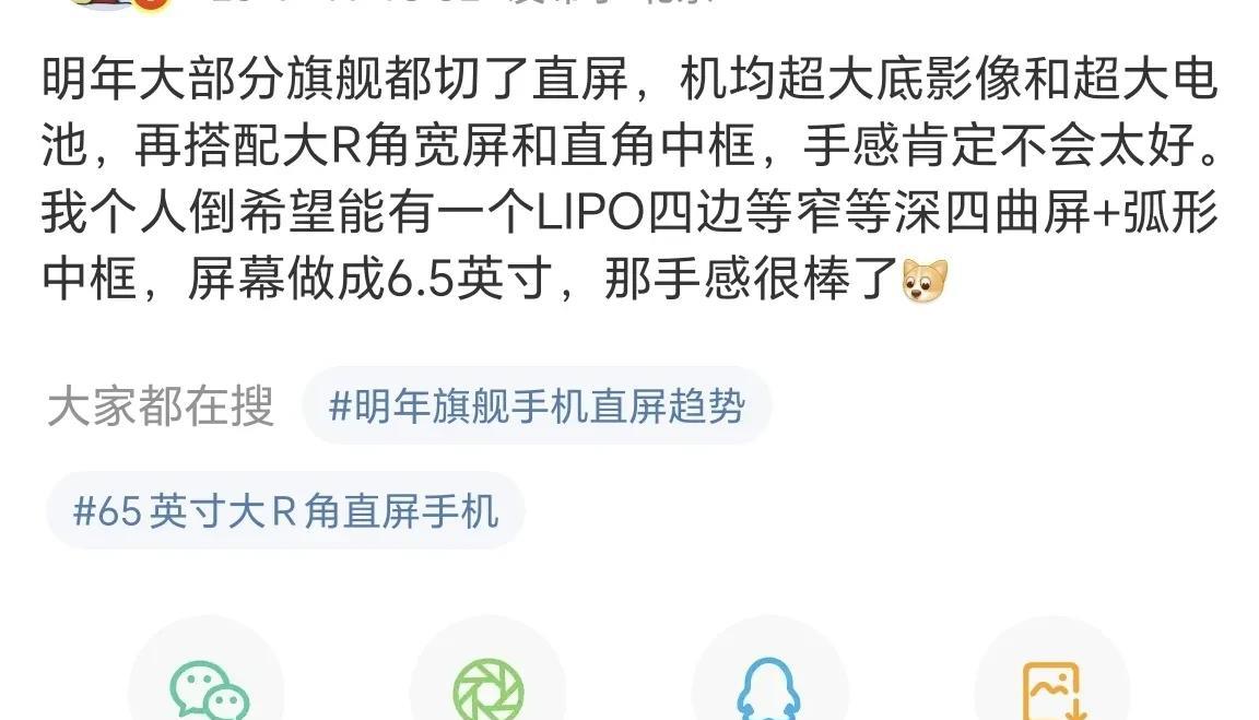 明年旗舰直屏，直角中框手感不太好据爆料，明年大部分旗舰都是直屏，大底影像和超大