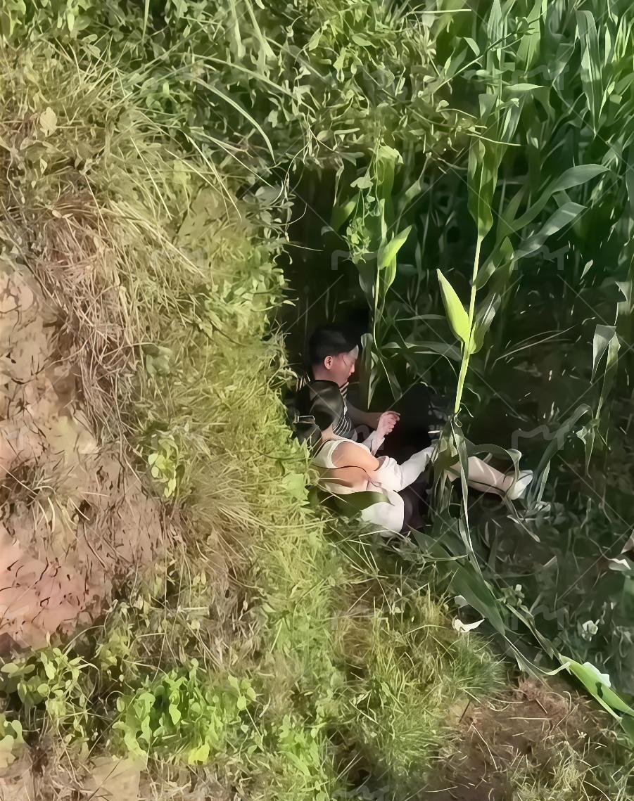 现在的年轻人，野餐也不会选地方。这玉米秆在四周立着，也看不到远处的风景。难得