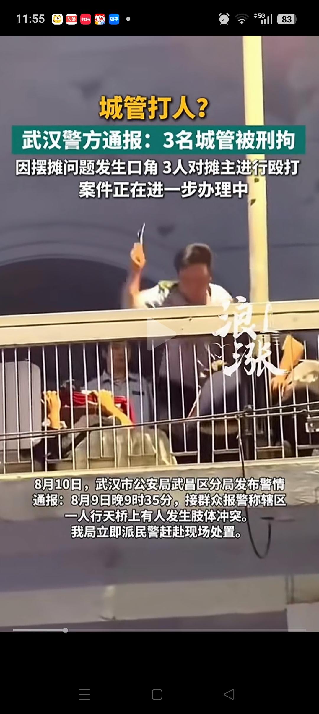 我有一个疑问，武汉天桥打人一事。为什么摊主没有被处罚？因为从通告上来看，是她们2