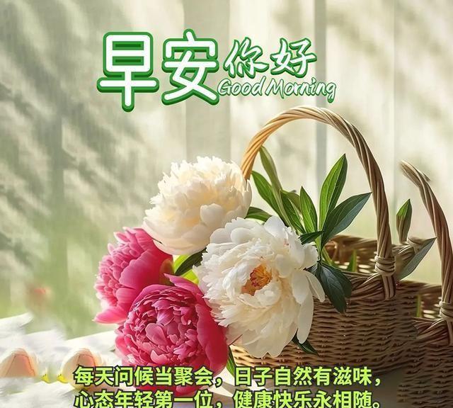 愿往后的时光，安康，顺意，欢畅，年华似诗，所有惊喜都如约而来！