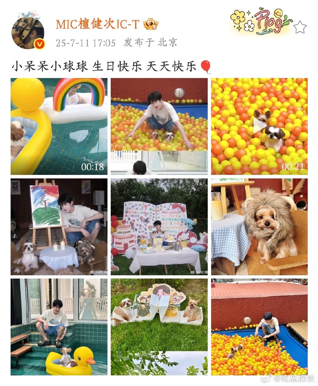 檀健次晒照为狗狗庆生“檀小呆”“檀力球”有这样的主人，每天都是生日氛围吧​​