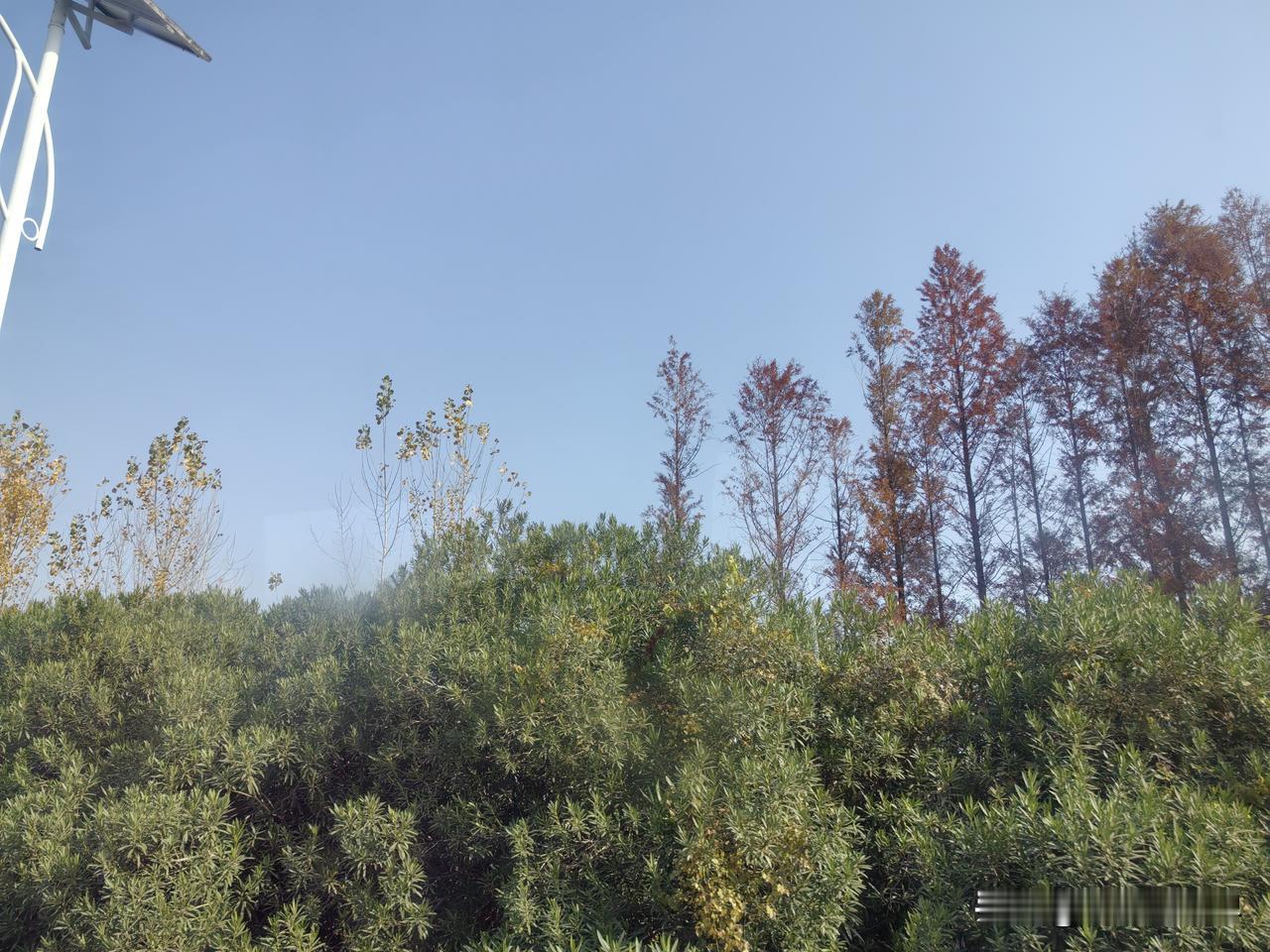 怎么会这样呢？也太奇怪了吧！今天陪姑姑一起去大伯父家二女儿也就是我二堂姐吃饭。