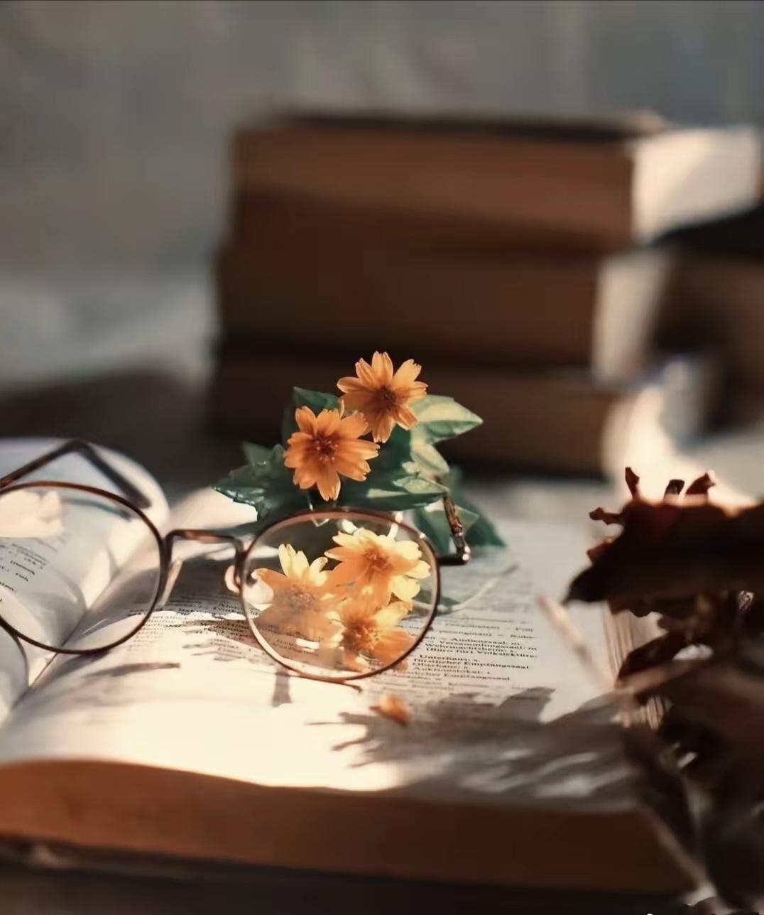 一段非常现实的话：“其实很多时候，你不是抑郁，你是没钱，没有性生活，没有那个可以