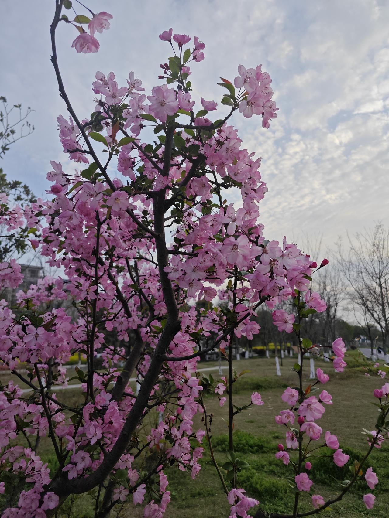 养生最大误区：一味追长寿，却丢了晚年真福气90岁老人一席话，点醒无数中年人