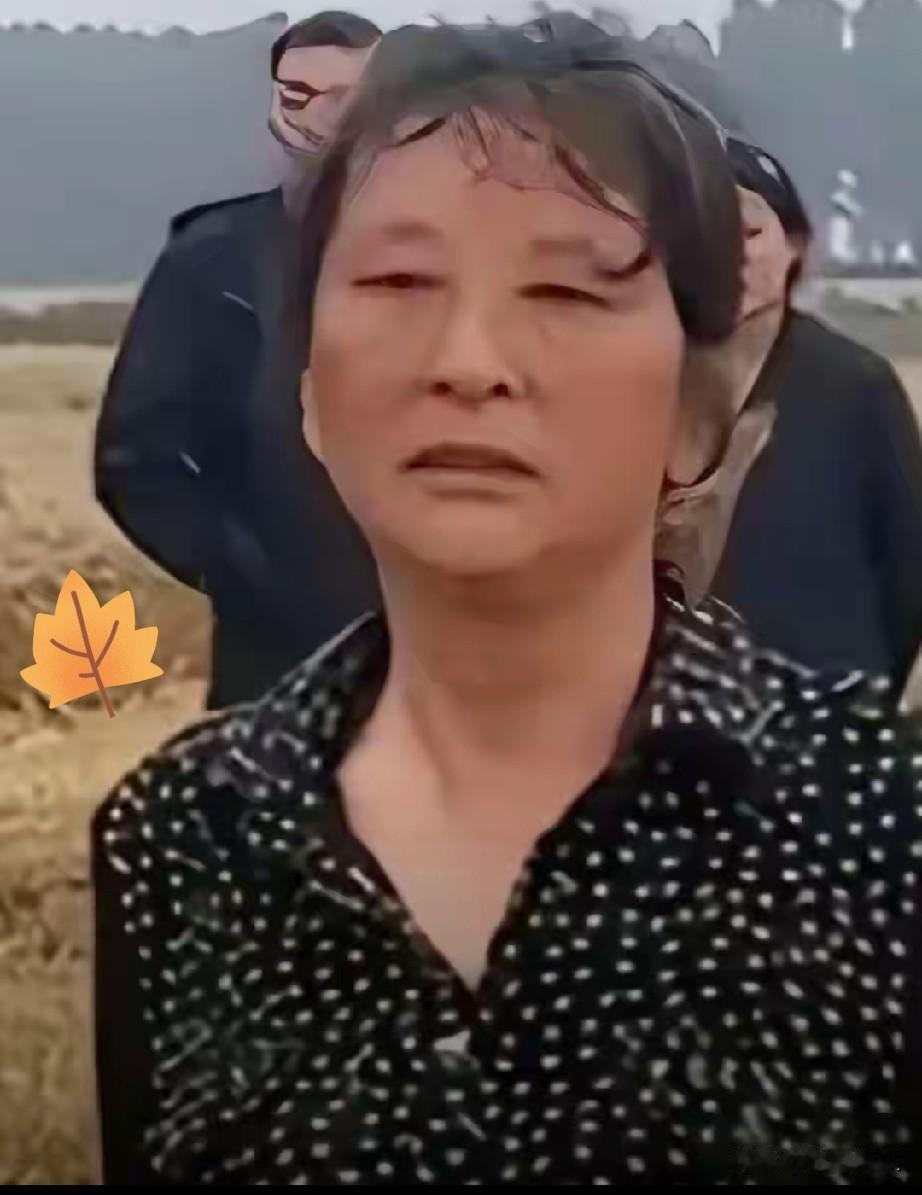 这几天刷到那事儿，农机手襄阳收麦遭“割四赔五”农户受牵连拦不到收割机问题要
