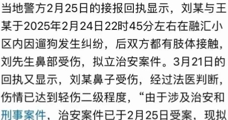 女子遛狗不牵引绳，反而把好心提醒她的男子打伤，男子报警后被定为治安案件，经过伤情