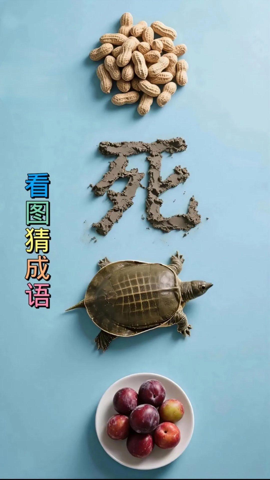 这4堆东西，组成一个成语，你们看看是什么成语？