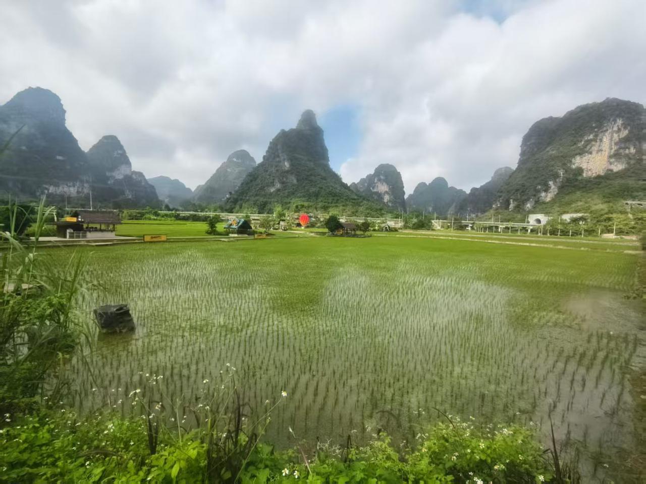 刘晓庆还敢再骂古柯吗越骂古柯越不得人心刘晓庆在网上公开大骂古柯，已