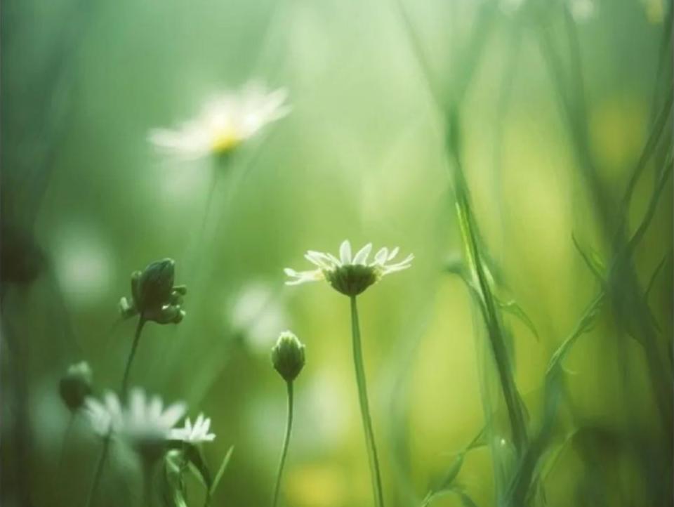 复旦大学的梁教授最智慧的一句话:“在上层，礼貌等于修养；在底层，礼貌等于软弱；