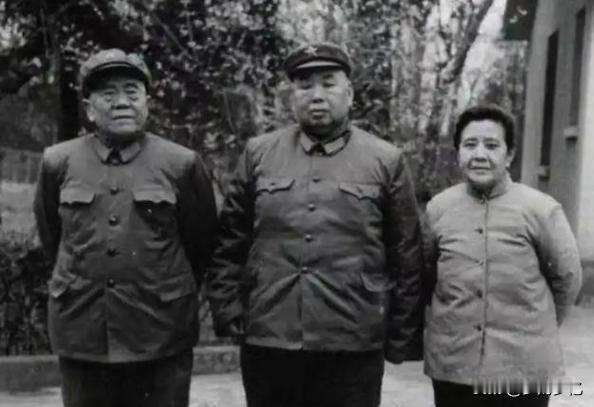 许世友退居二线，爱将聂凤智竟当面严厉问责！胶东战场的交情太硬核许世友退居二