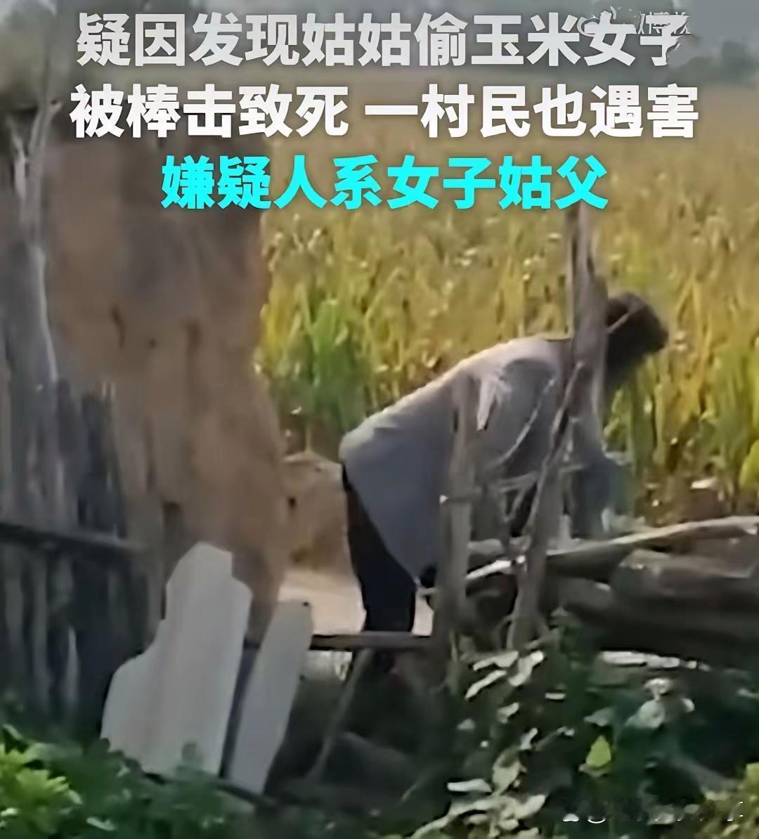 榆林靖边最近出了个“玉米命案”，听完直让人后背发凉：55岁的姬国利发现75岁的亲