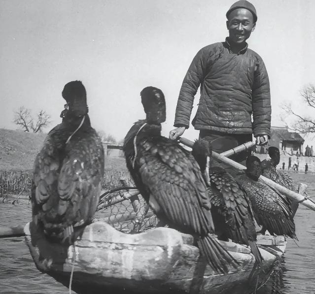 1942年，渔民陈根土载着16个日军过江。船行至江心，原本一脸谄媚的陈根土突然哈