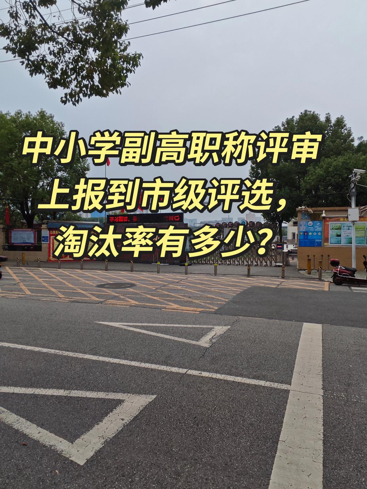 湖北襄阳中小学副高（高级教师）市级评审淘汰率省级政策红线：副高整体通过率原则上