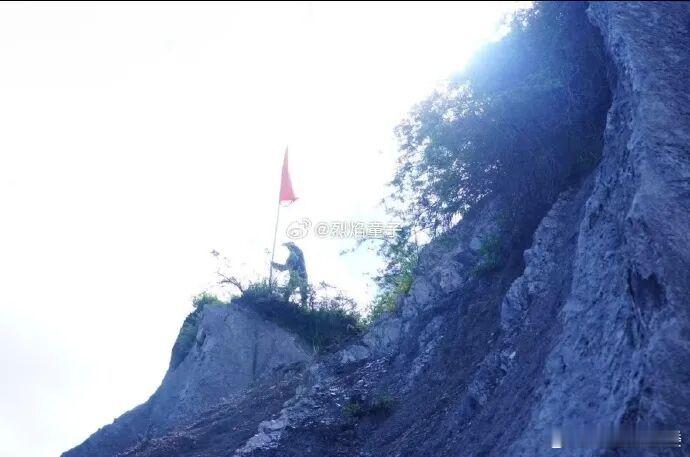 网友求助：不小心把朋友拍成了穿山甲，怎么办？看之前我想，能有多像？看之后：这也太
