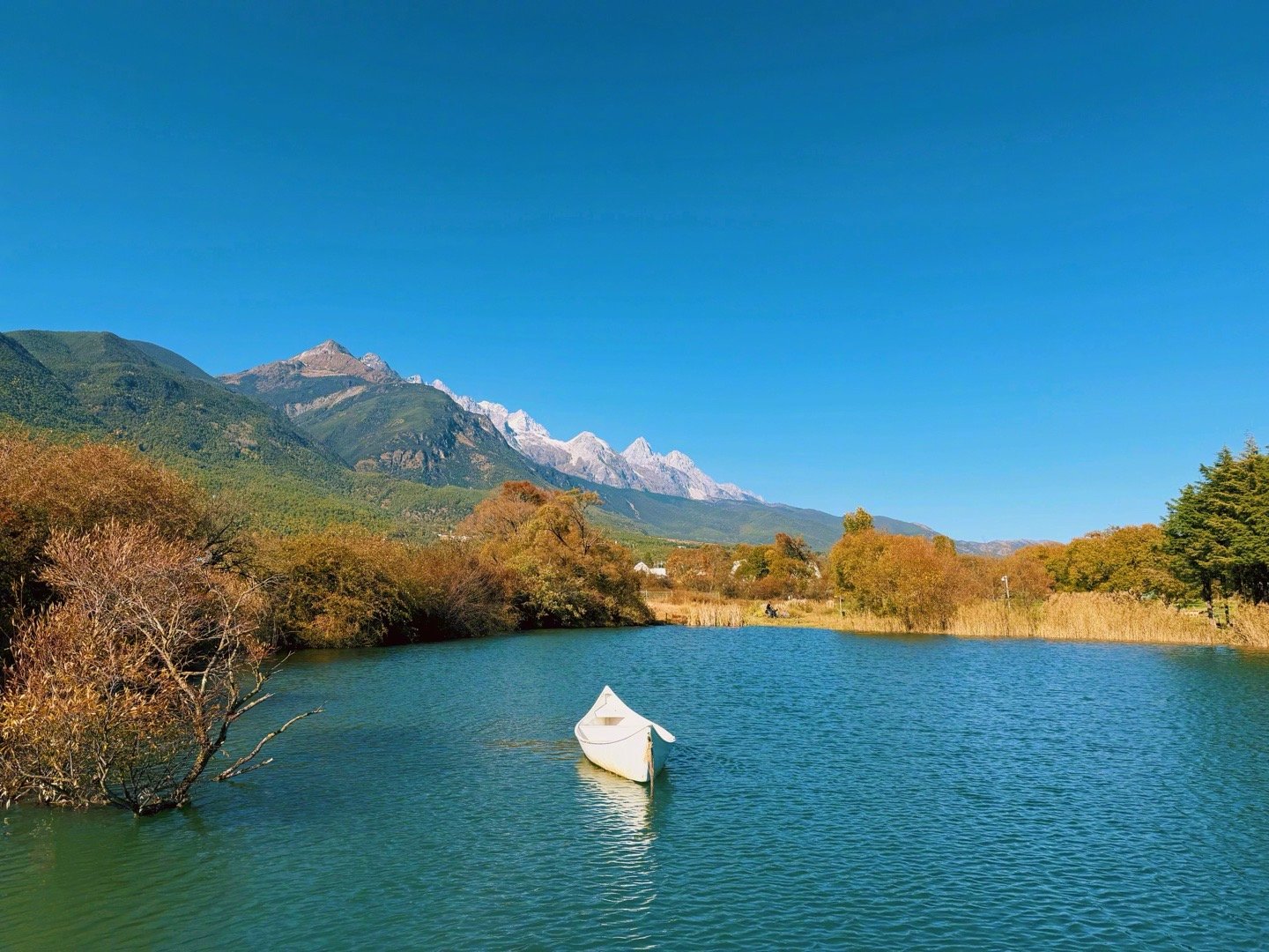能拓宽人心智空间的认知，才算是真知。“真知”的真正意义，并不是在大脑里得到某种看
