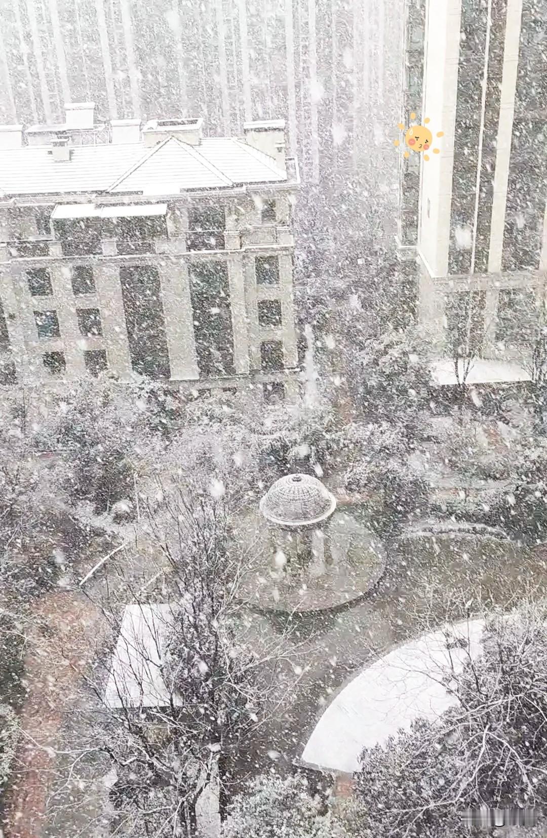 今日正月初七，西安下了场暴雪。老话儿说这是“人日雪”，一大早巷子里的老人们就