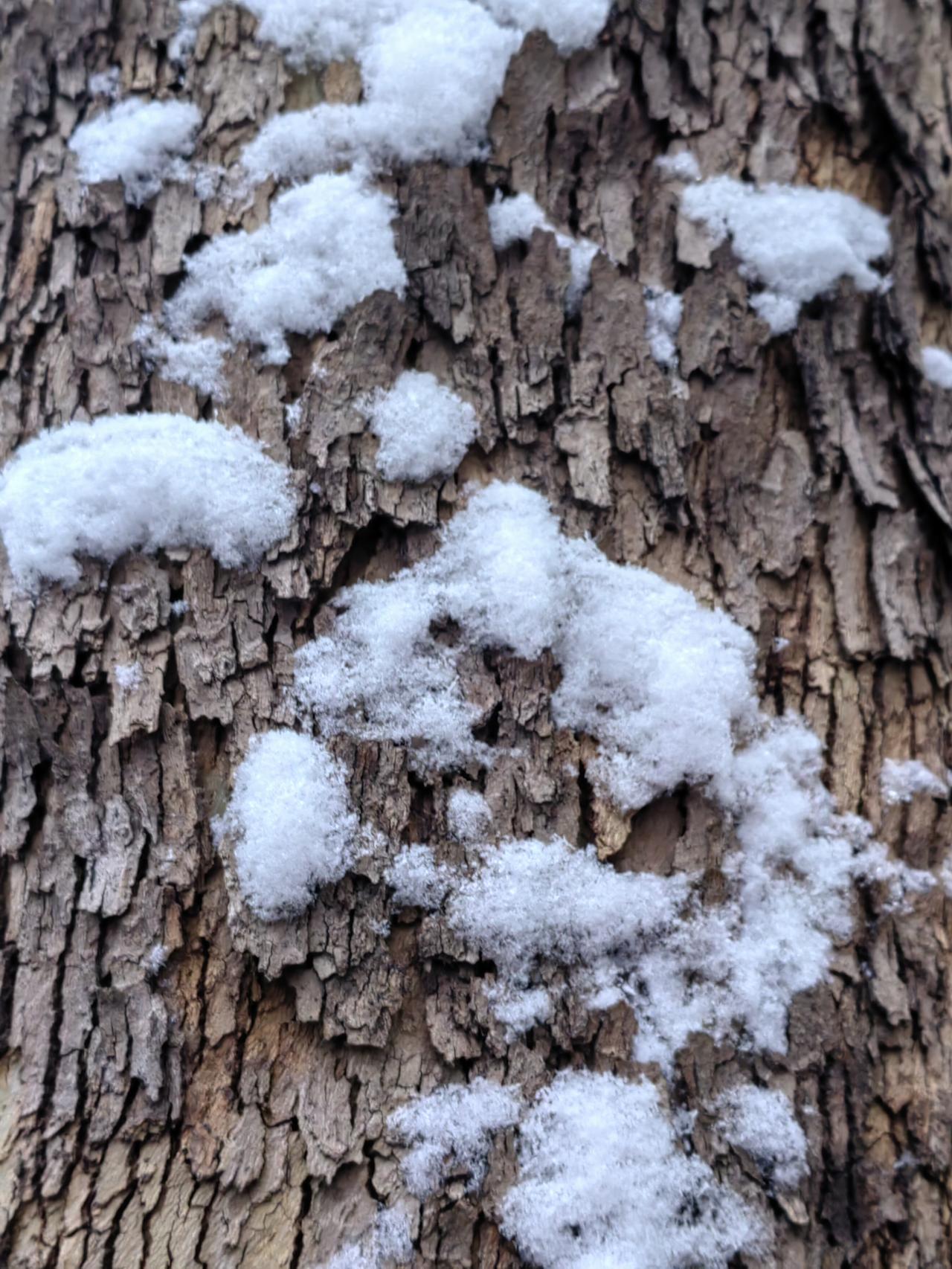 有一老太太坚信闺女比儿子好，放下唯一的孙子不照顾，一口气把三个闺女的四个孩子照看