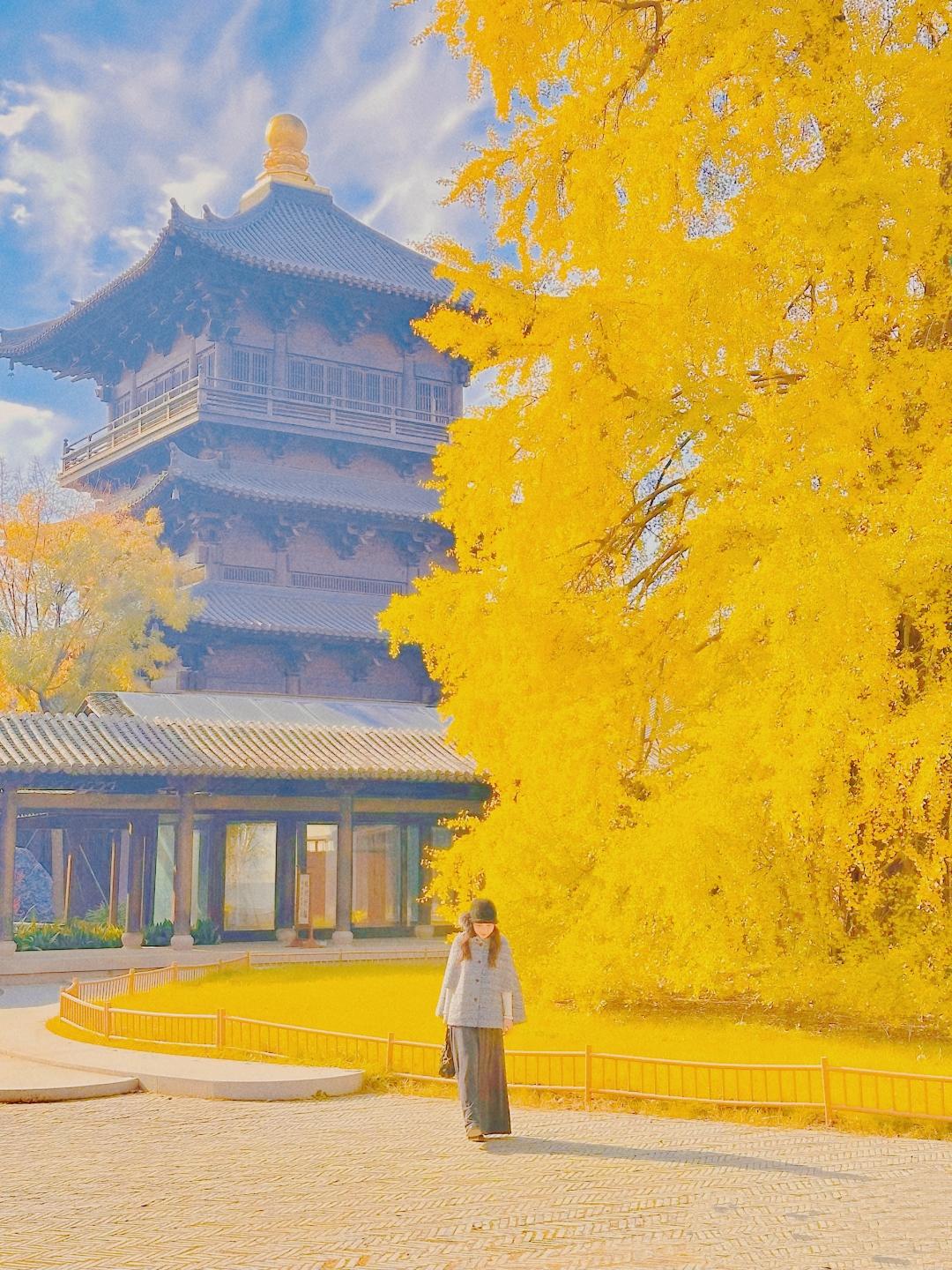 人到中年才猛然醒悟：所谓珍惜当下，根本不是熬日子，而是把每一刻都过成“不后悔的选