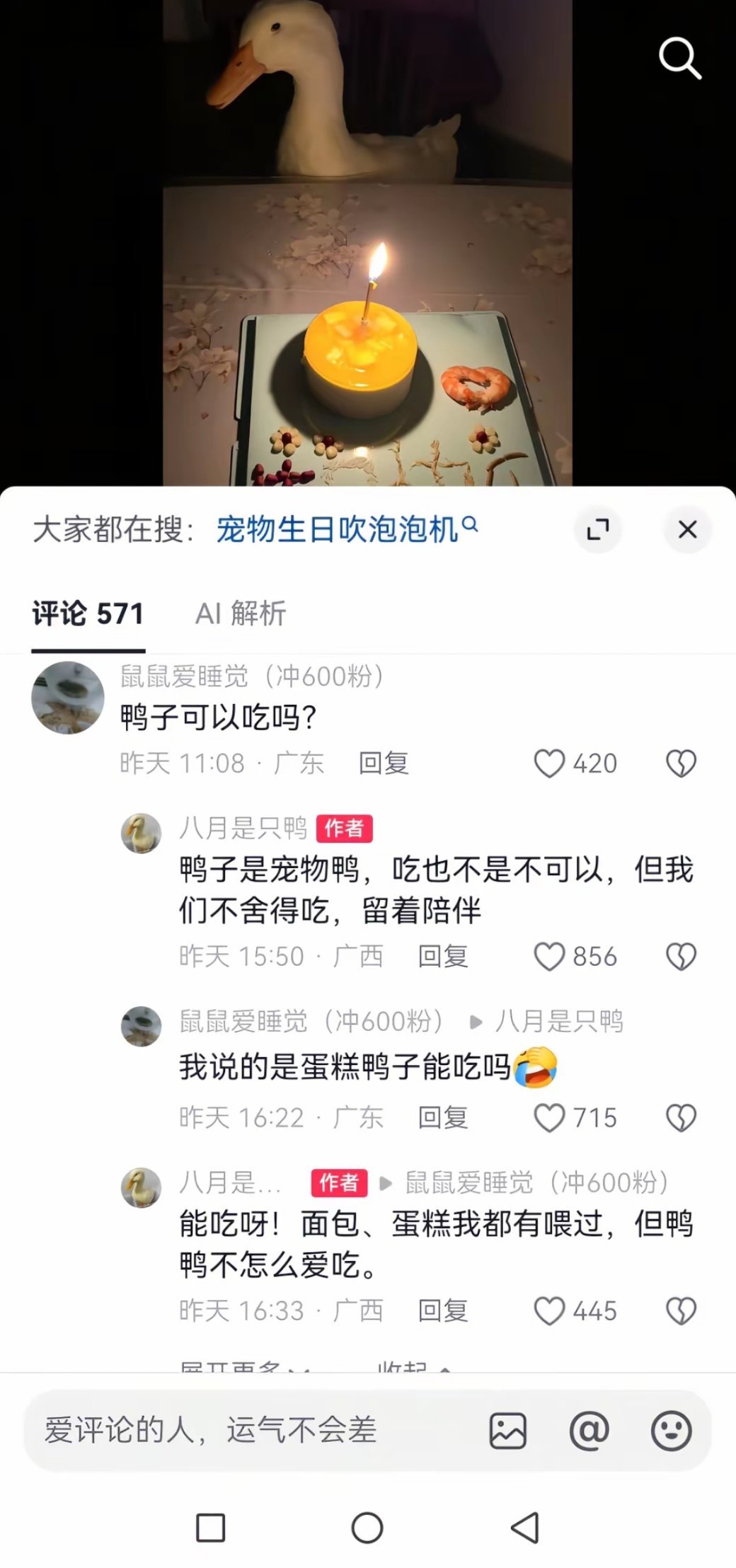 文字果然能传递情绪，发现评论对鸭子没恶意，博主语气都欢快起来了