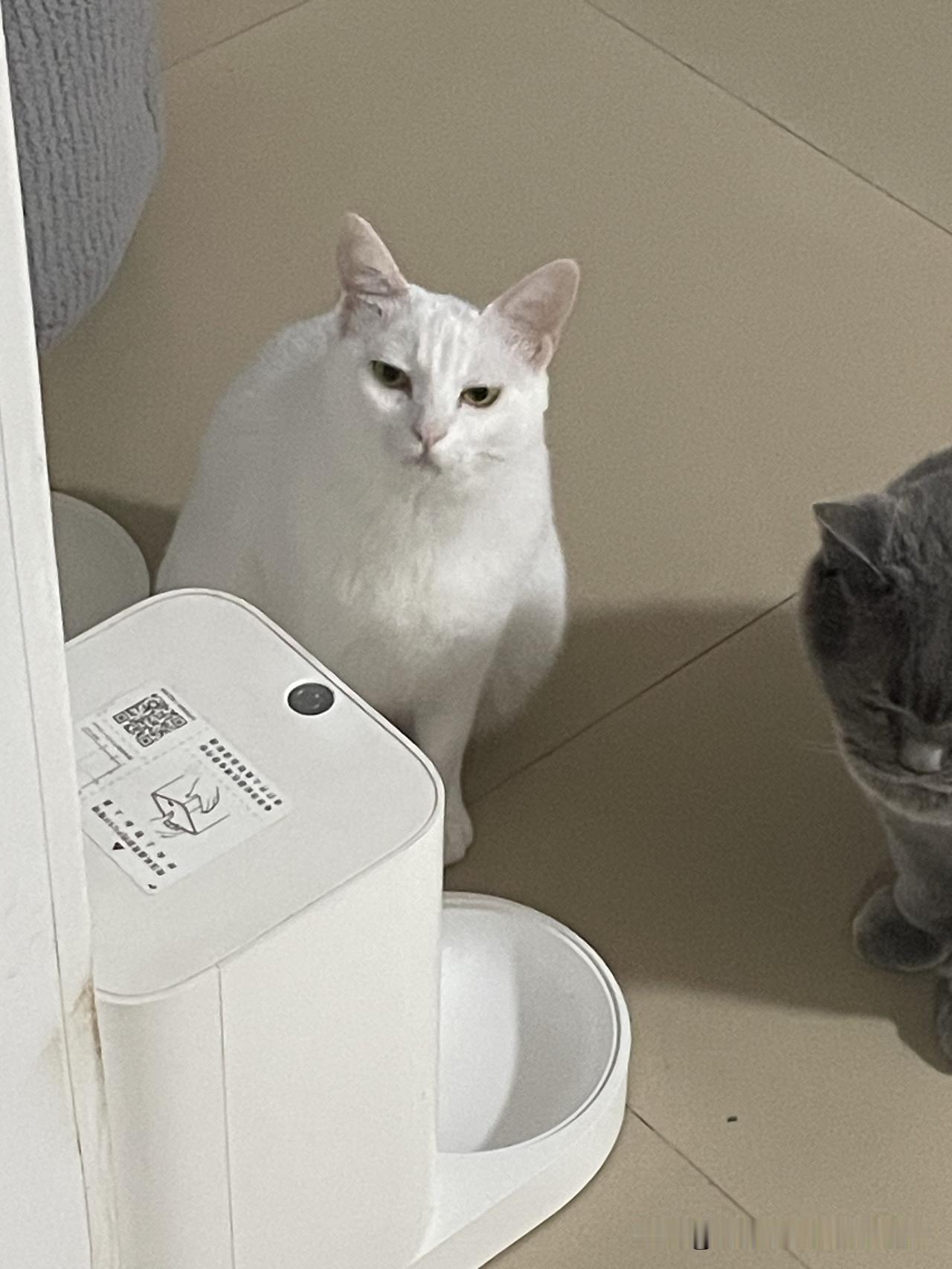 早上，着急忙慌把中午的米饭蒸上，想起来昨天早上买的包子还在冰箱，就拿出来蒸下，豆