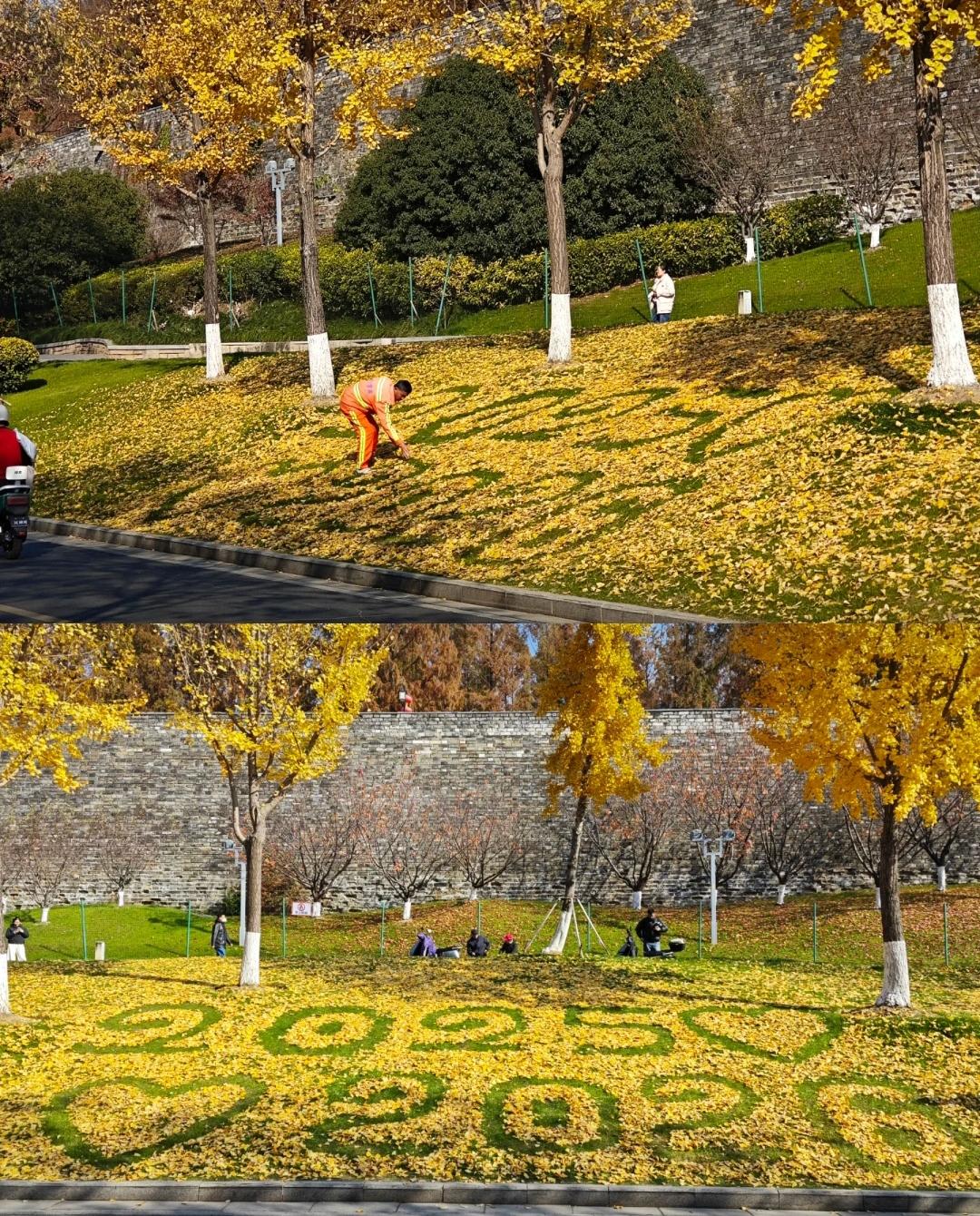 玄武湖这个环卫大叔彻底火了没来没见过这样的环卫大叔!好多网友周末去玄武湖游玩