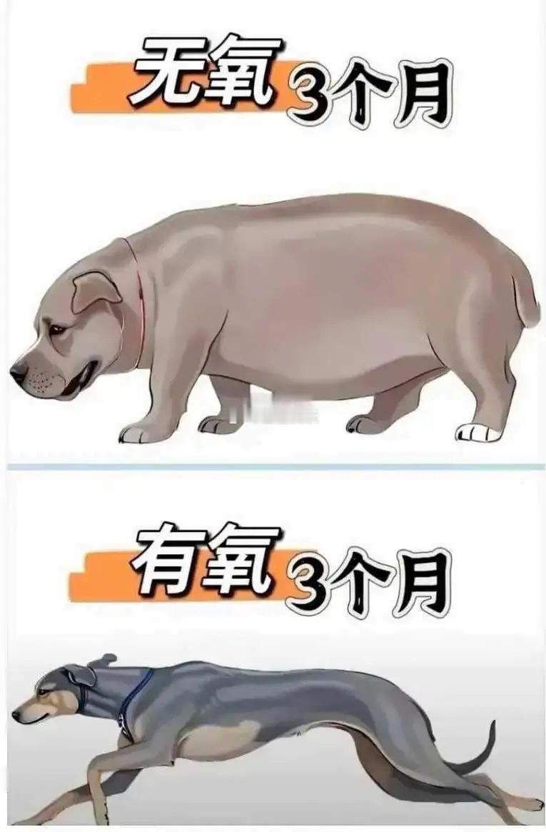 运动的重要性……