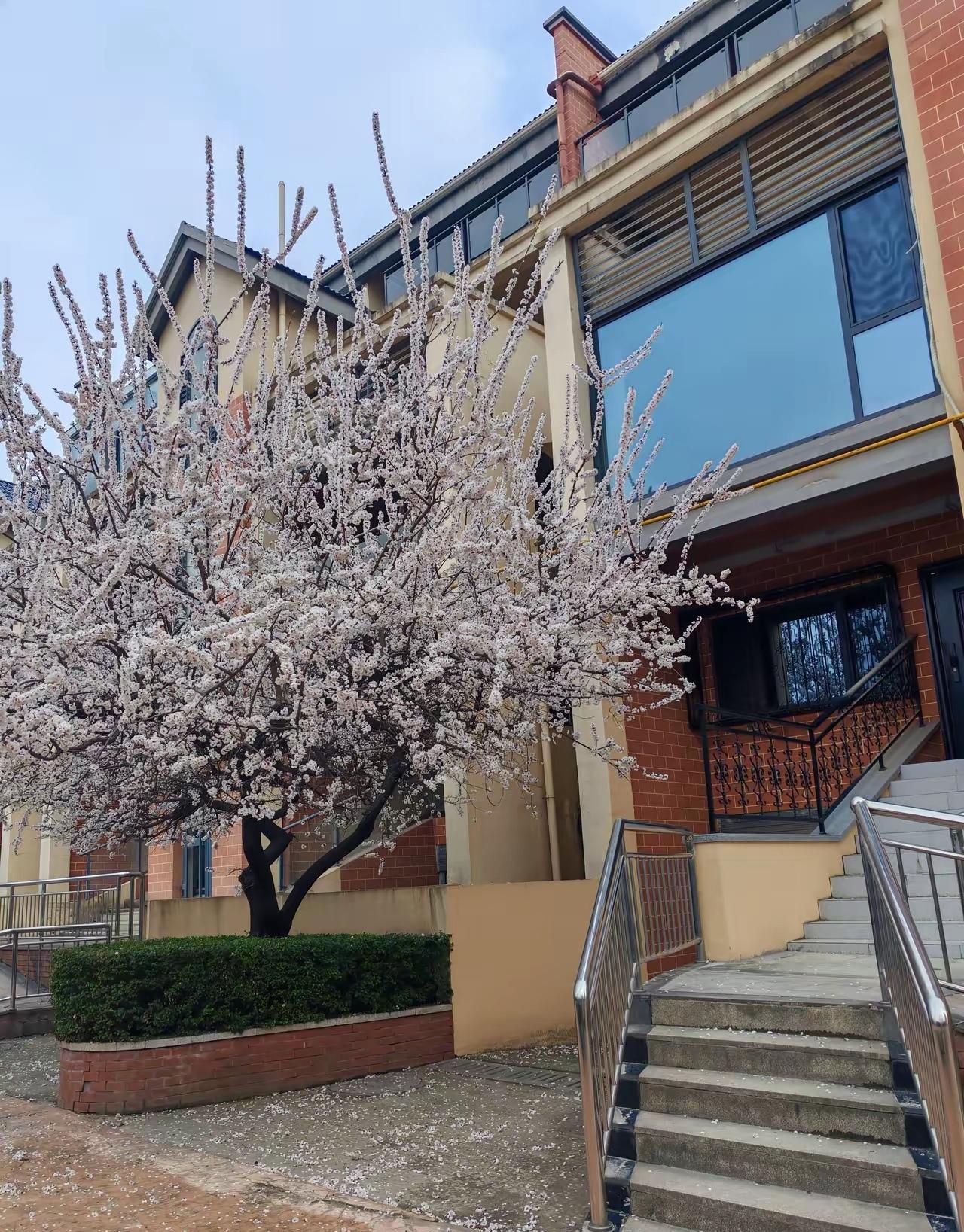 今日运势：丙午年辛卯月甲午日2026.3.21日鼠：小吉工作取得成果牛