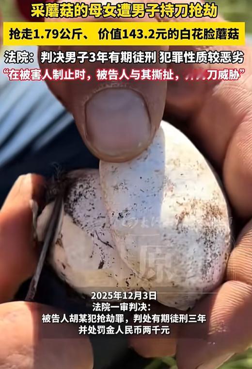 内蒙古，母亲带女儿去采蘑菇，采了1.79公斤白花脸蘑菇，可还没来得及高兴，就被一