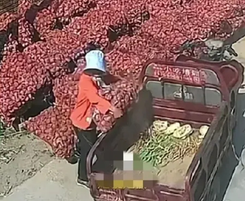 5月14日，河南开封一大妈骑着电动三轮经过一户蒜农家，趁人家不注意，直接搬起一袋
