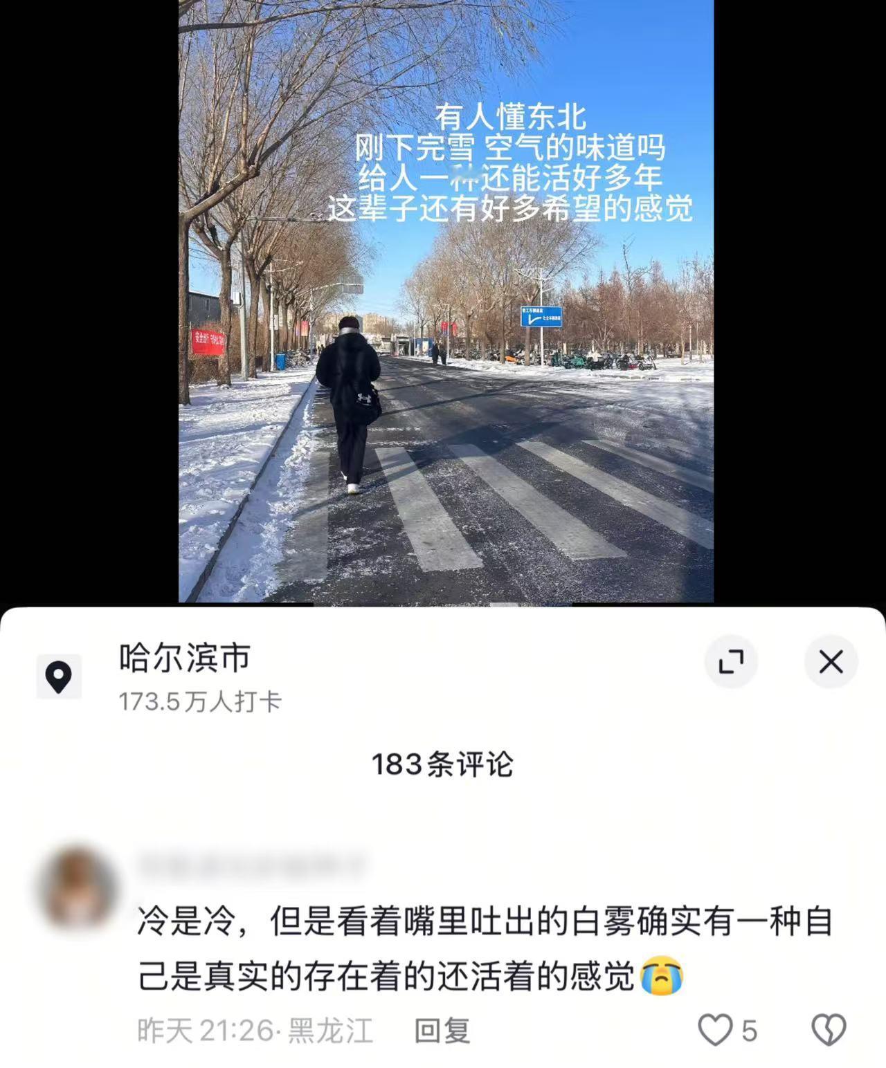 东北的冬是清冽的甜味儿❄️