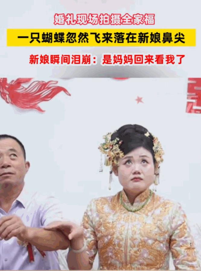 这一幕，连科学都解释不了！山东，婚礼当天，新娘出门前正和爸爸拍合照。突然，一只蝴