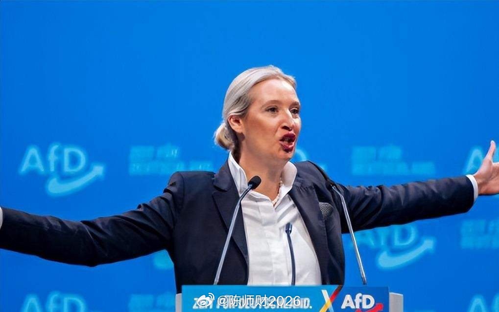 魏德尔拍桌子质问默茨：北溪被炸，你们一声不吭。默茨回击，援乌就是保欧洲安全。可俄方特使转头就喊话：“