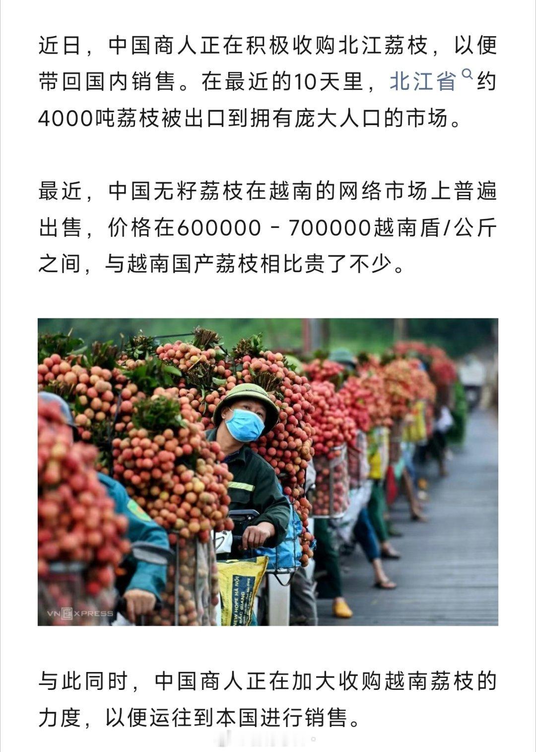 越南荔枝在中国大卖！咱们采购商10天买了4000吨越南荔枝，中国荔枝比越南出售价