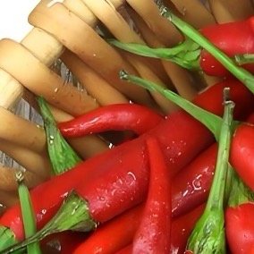 0000辣椒种植第一步：育苗是成功基础。提前在保护地育苗，确保苗齐苗壮。待苗高1