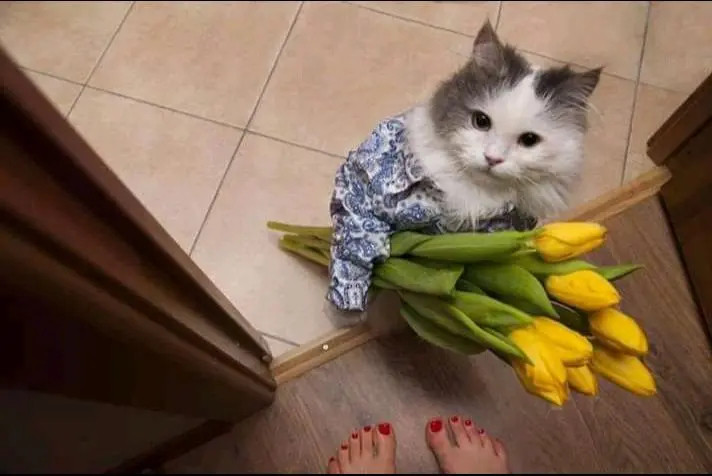 今天是送花工
