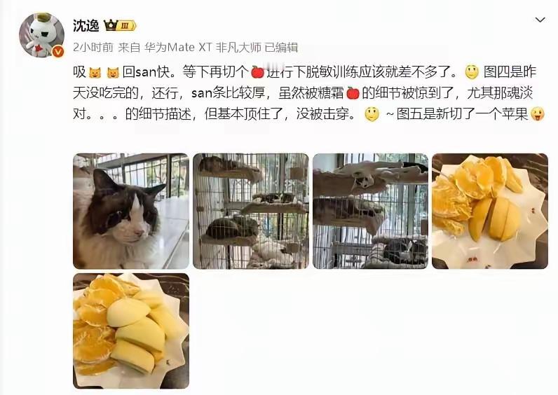 沈逸老师开始脱敏训练，并且化身行为艺术大师，现场教学何为“糖霜苹果”了。按这样