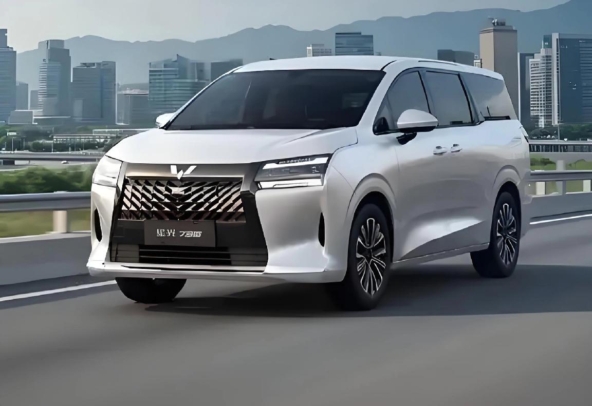 今年，表哥买了一辆五菱MPV，他告诉我们价格很实惠，他开着这车带着双方父母已经去