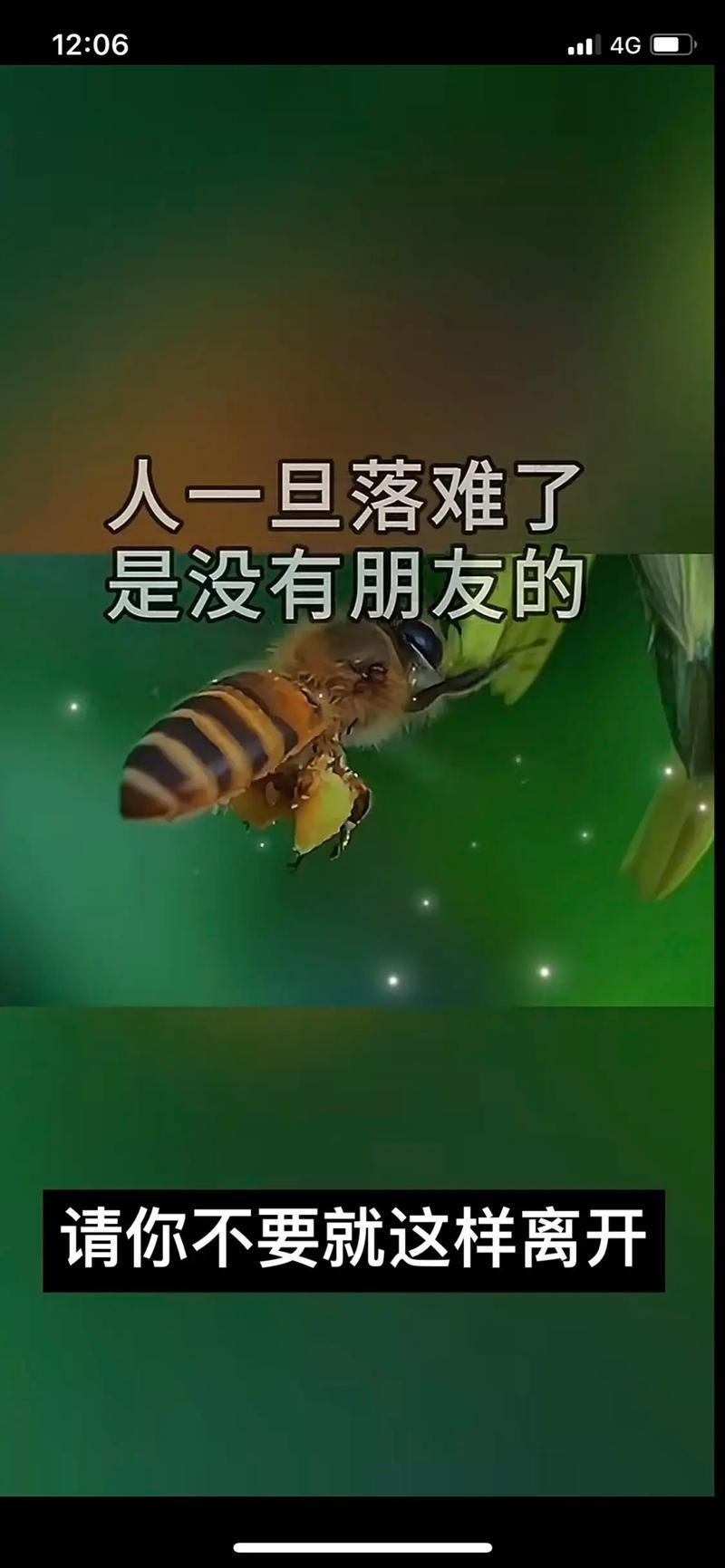 人到落魄时候，为什么都没有朋友
