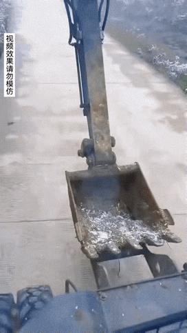 师父挺上心啊，原则性也很强。