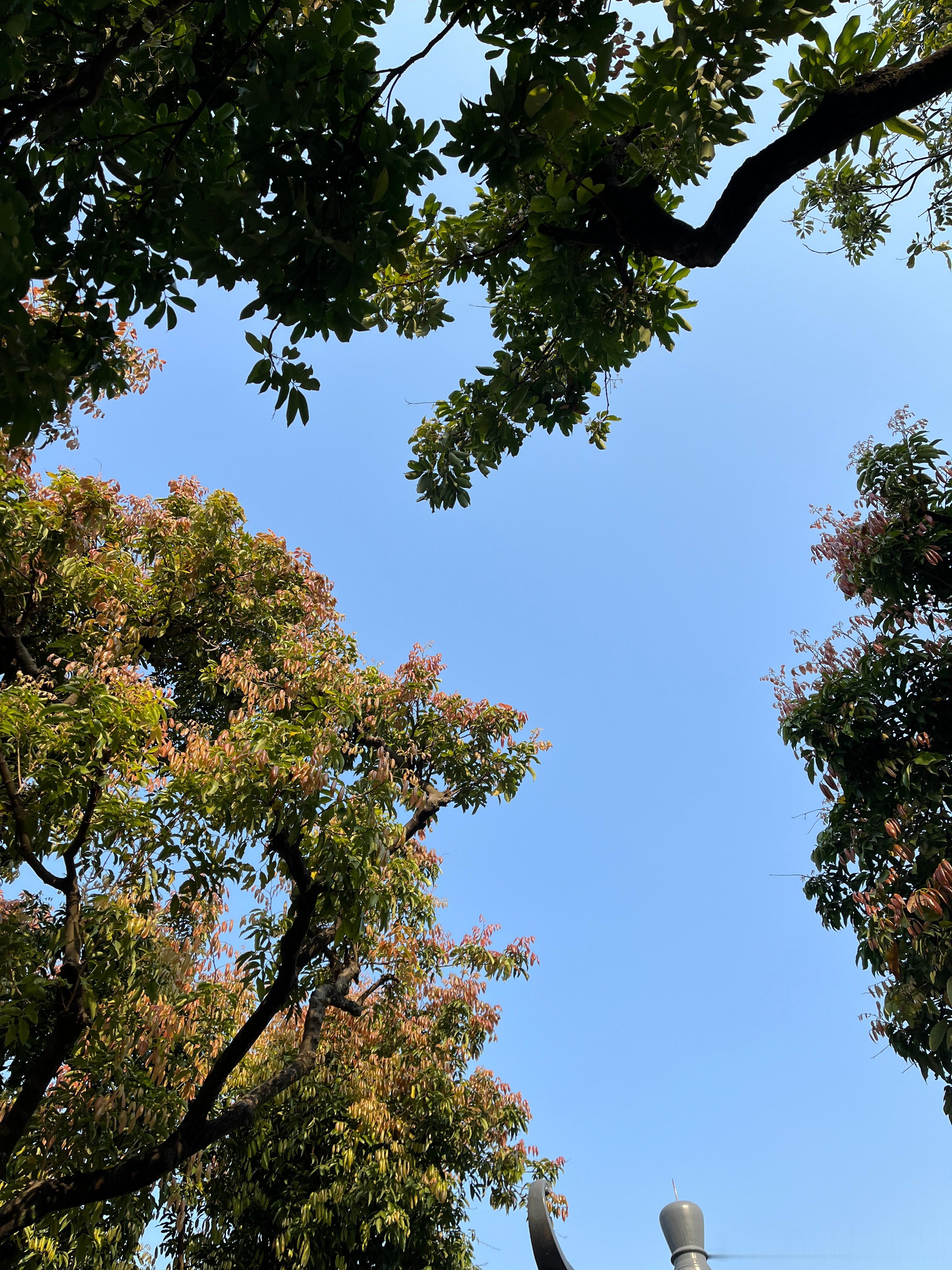 不必纠结于他人的冷言冷语，人性的弱点决定了，当你弱小的时候，周围尽是恶意；当你强